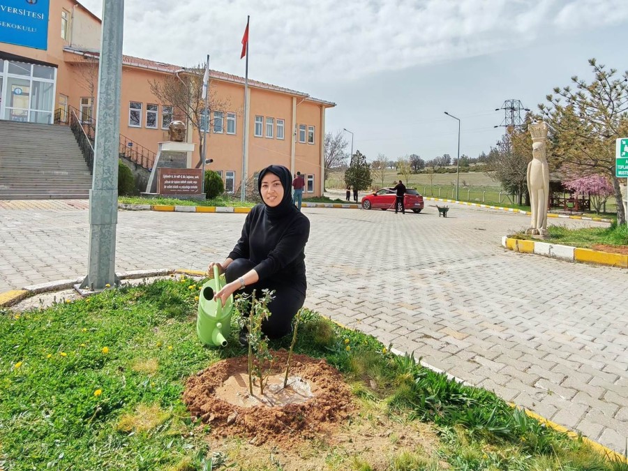 Emet MYO kampüsüne gül fidanı dikimi
