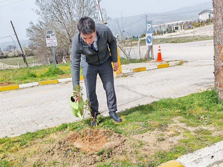 Emet MYO kampüsüne gül fidanı dikimi
