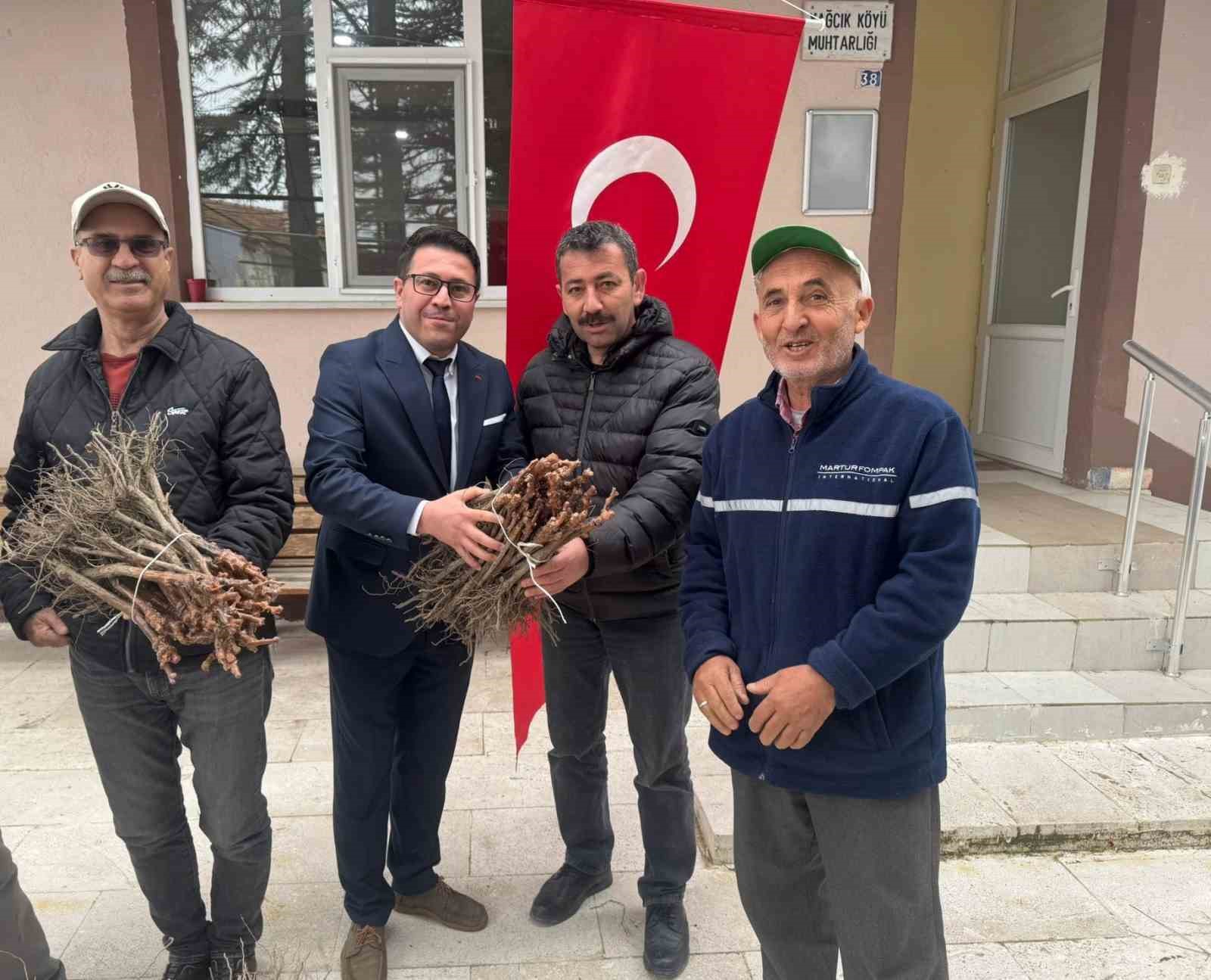 Emet’te 35 üreticiye 980 adet üzüm fidanı dağıtıldı
