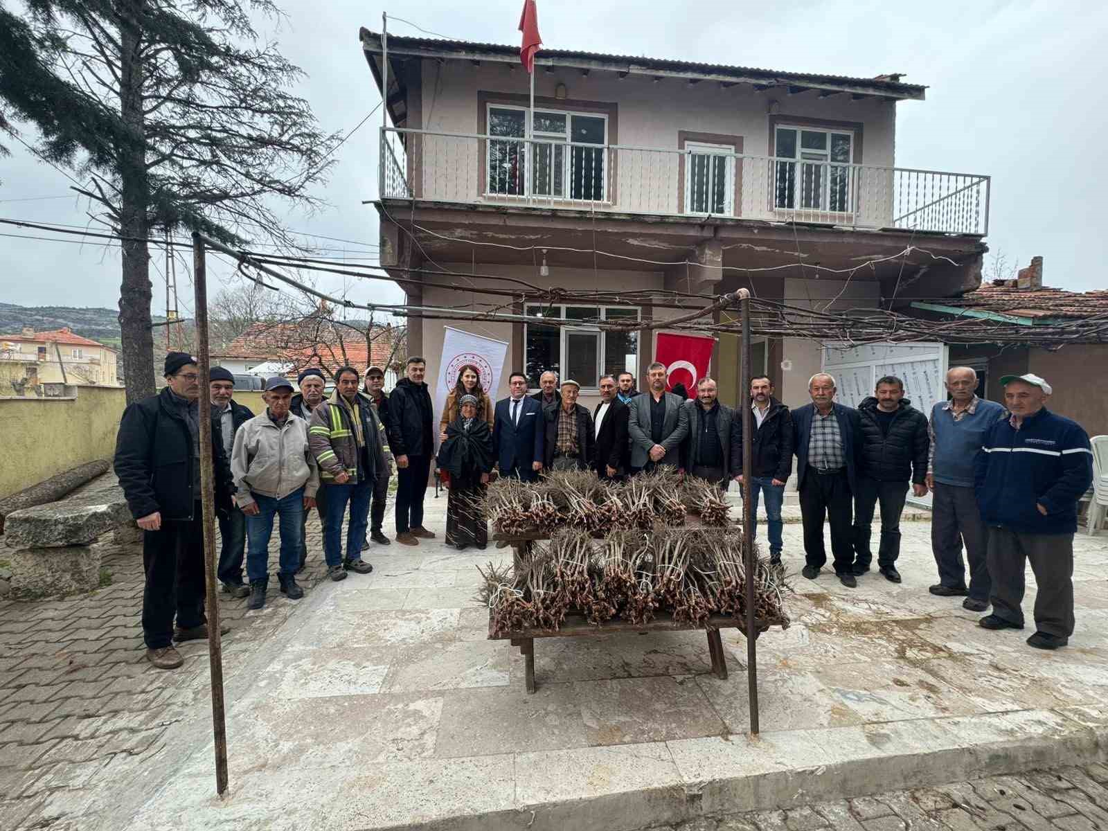 Emet’te 35 üreticiye 980 adet üzüm fidanı dağıtıldı
