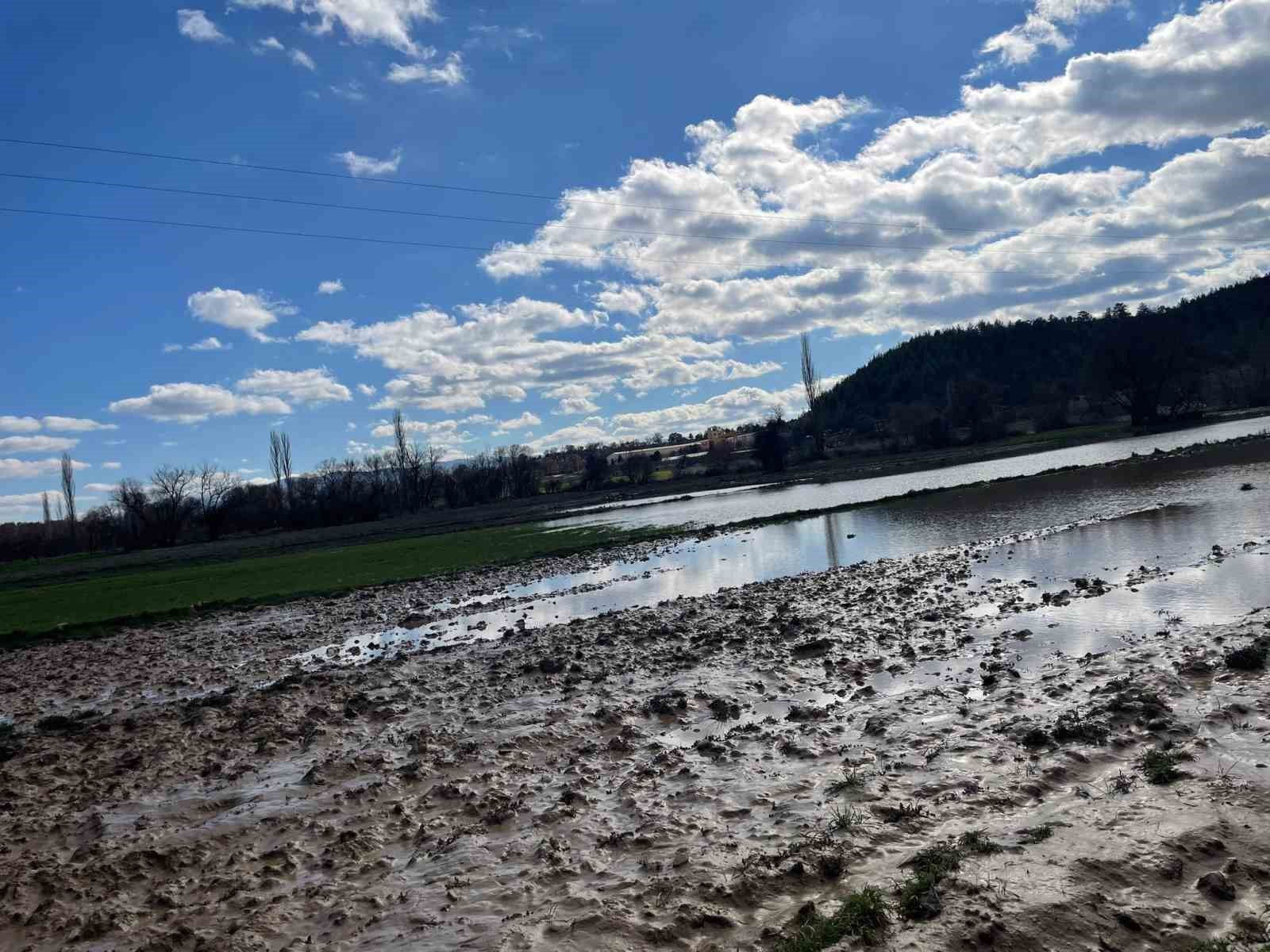 Emet’te selden etkilenen arazilerde hasar tespiti
