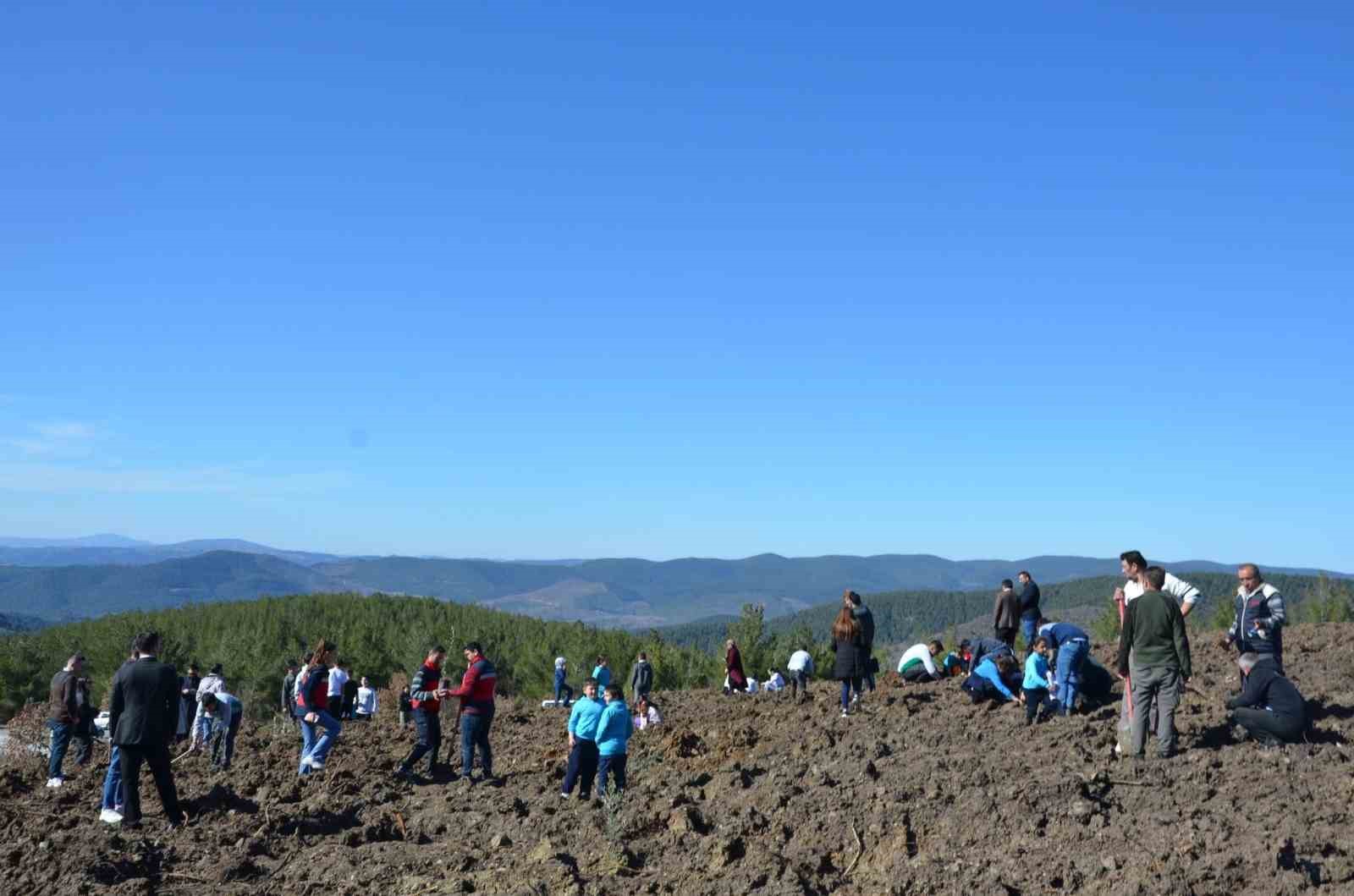 Emet’te zeytin fidanları toprakla buluştu
