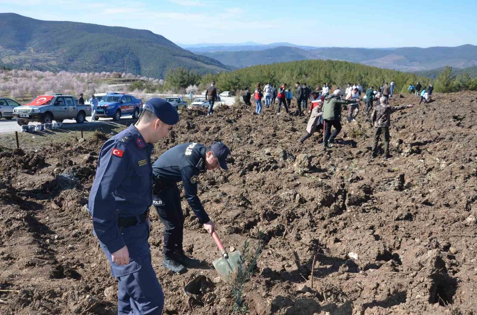 Emet’te zeytin fidanları toprakla buluştu
