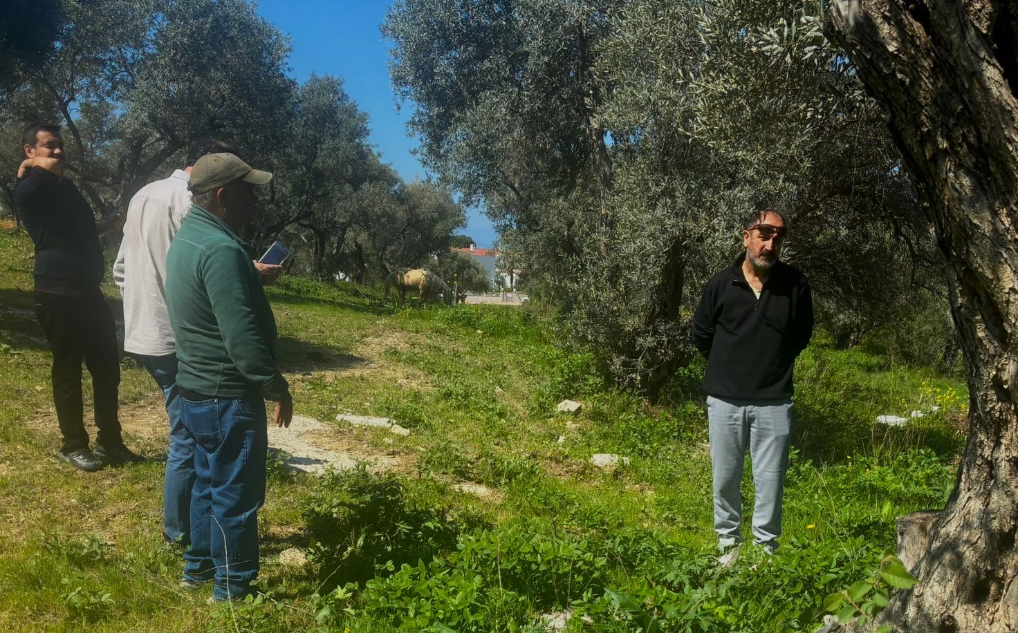 Endemik Tülüşah için inceleme yaptılar
Endemik Tülüşah için inceleme yaptılar