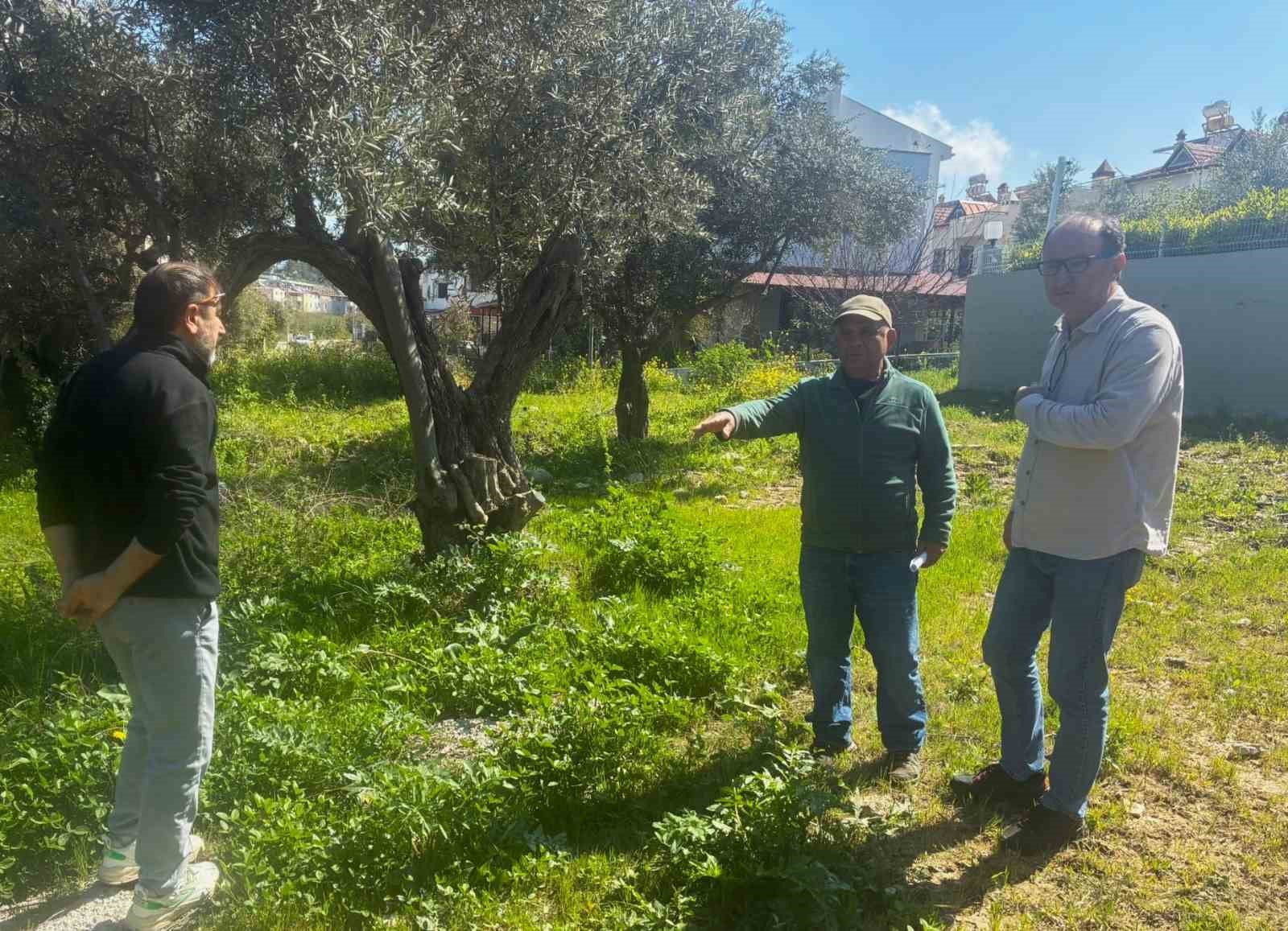 Endemik Tülüşah için inceleme yaptılar
Endemik Tülüşah için inceleme yaptılar