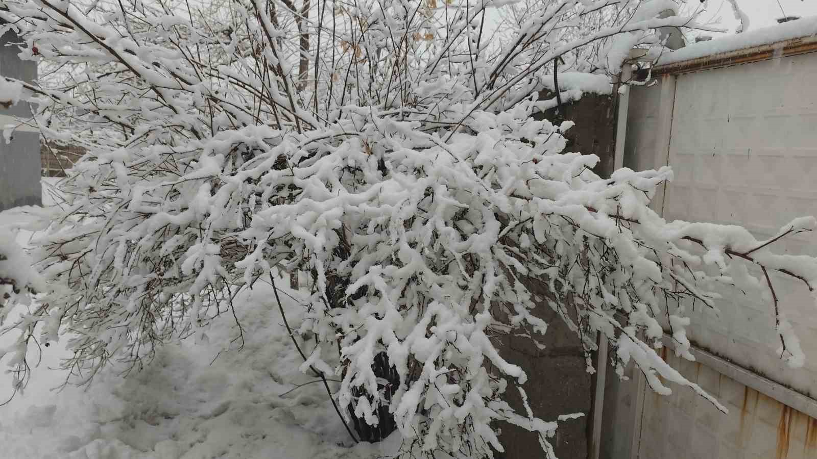 Erciş’te kar yağışı
