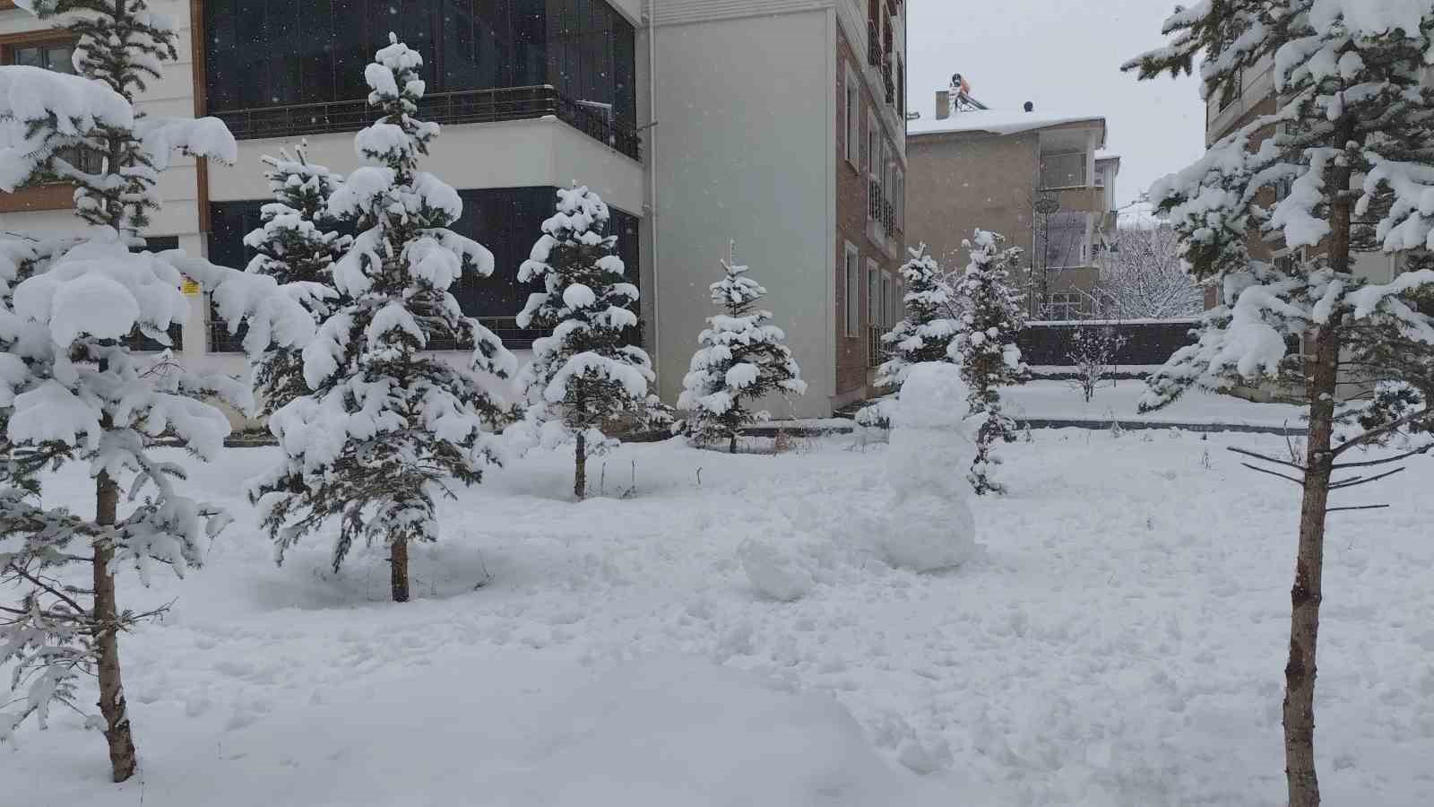Erciş’te mart ayında kar yağışı
