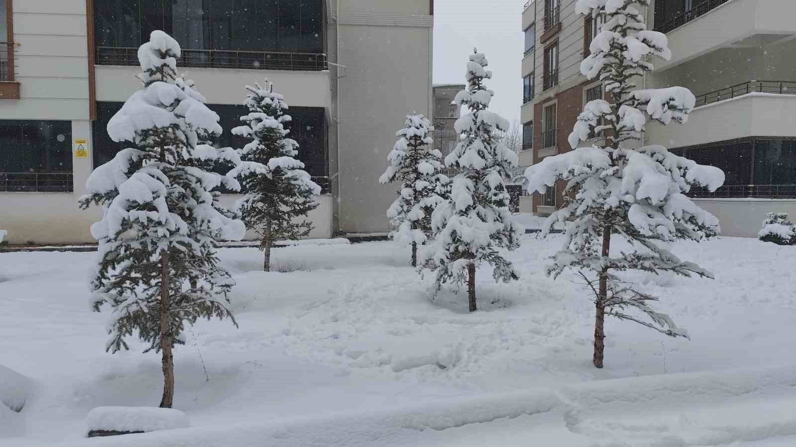 Erciş’te mart ayında kar yağışı
