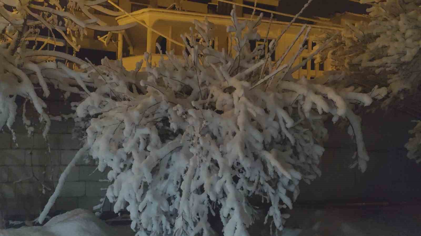 Erciş’te yoğun kar yağışı
