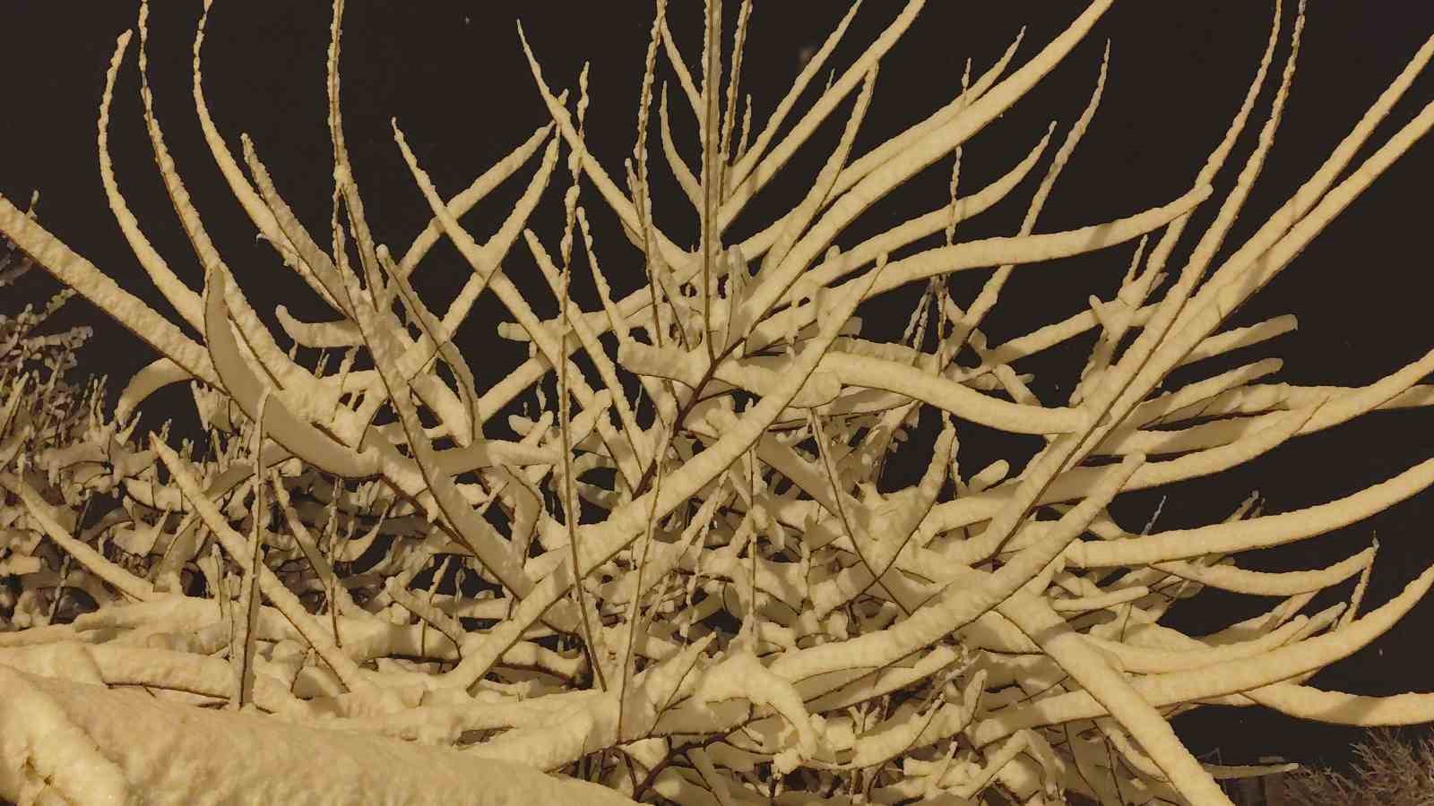 Erciş’te yoğun kar yağışı
