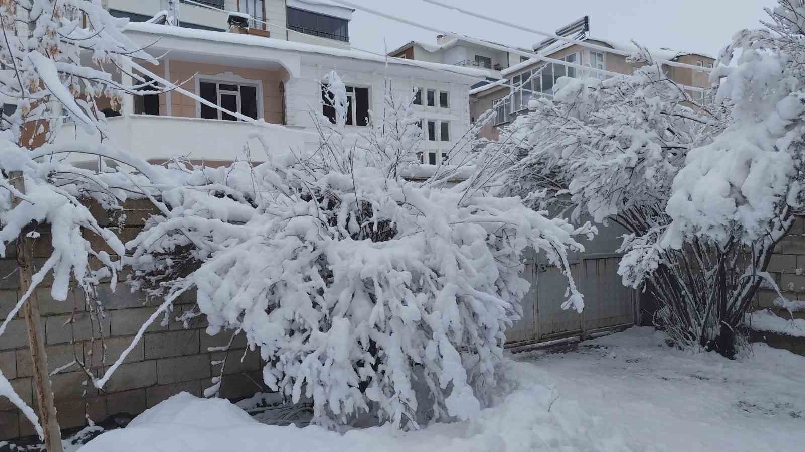 Erciş’te yoğun kar yağışı
