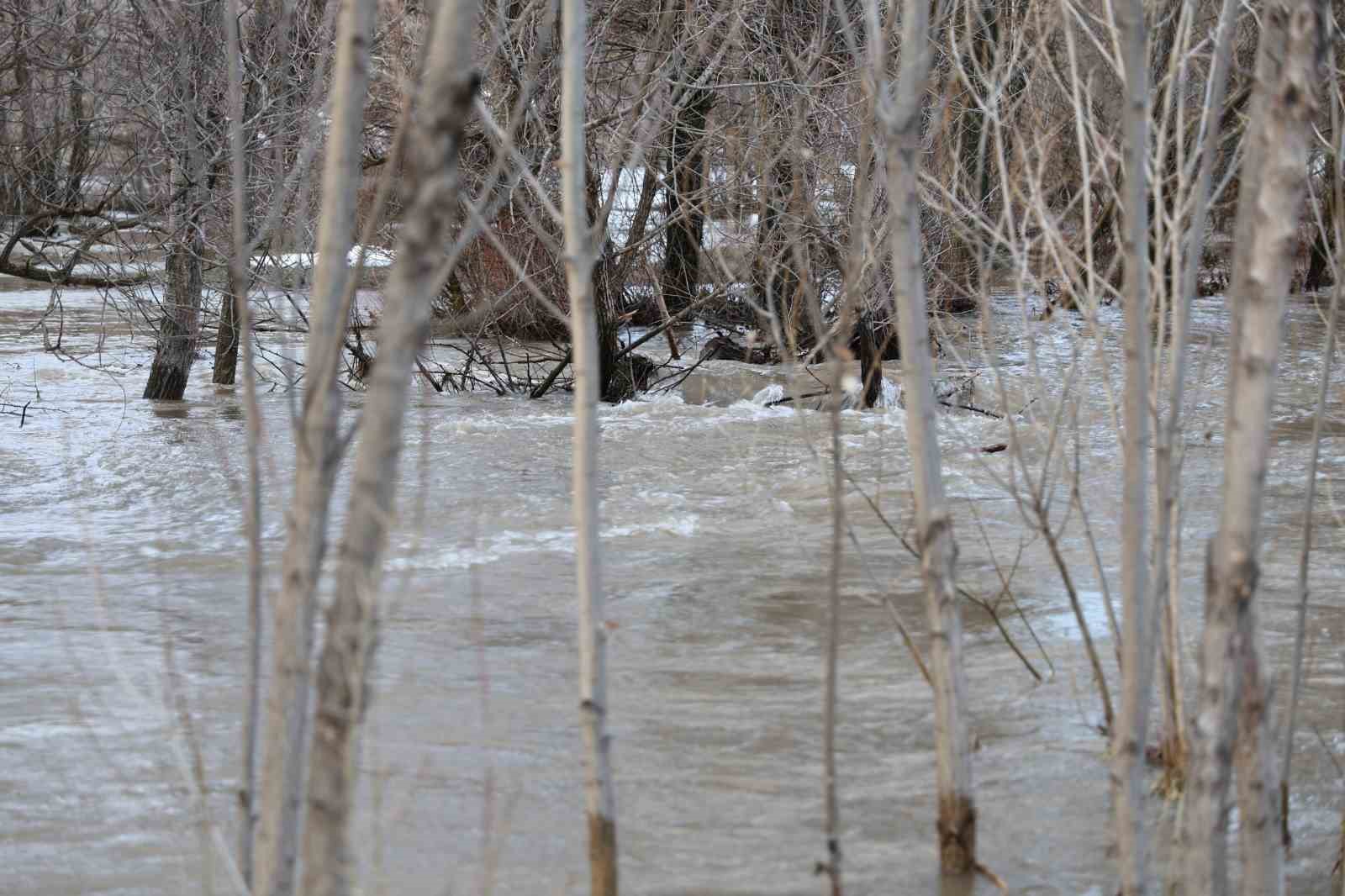 Eriyen kar suları taşkınlara sebep oldu, evler ve yollar sular altına kaldı
