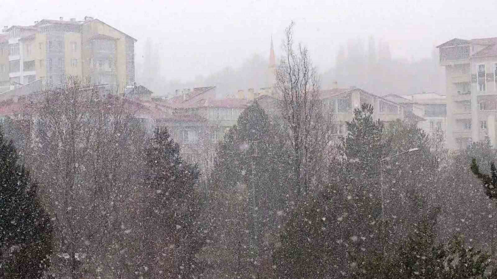 Erken göçen leyleklere kar sürprizi
