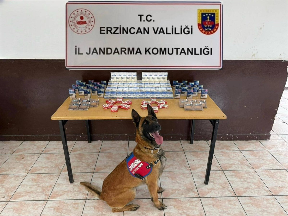 Erzincan jandarmasından Mart 2026 faaliyet raporu: 224 olayın yüzde 97’si aydınlatıldı
