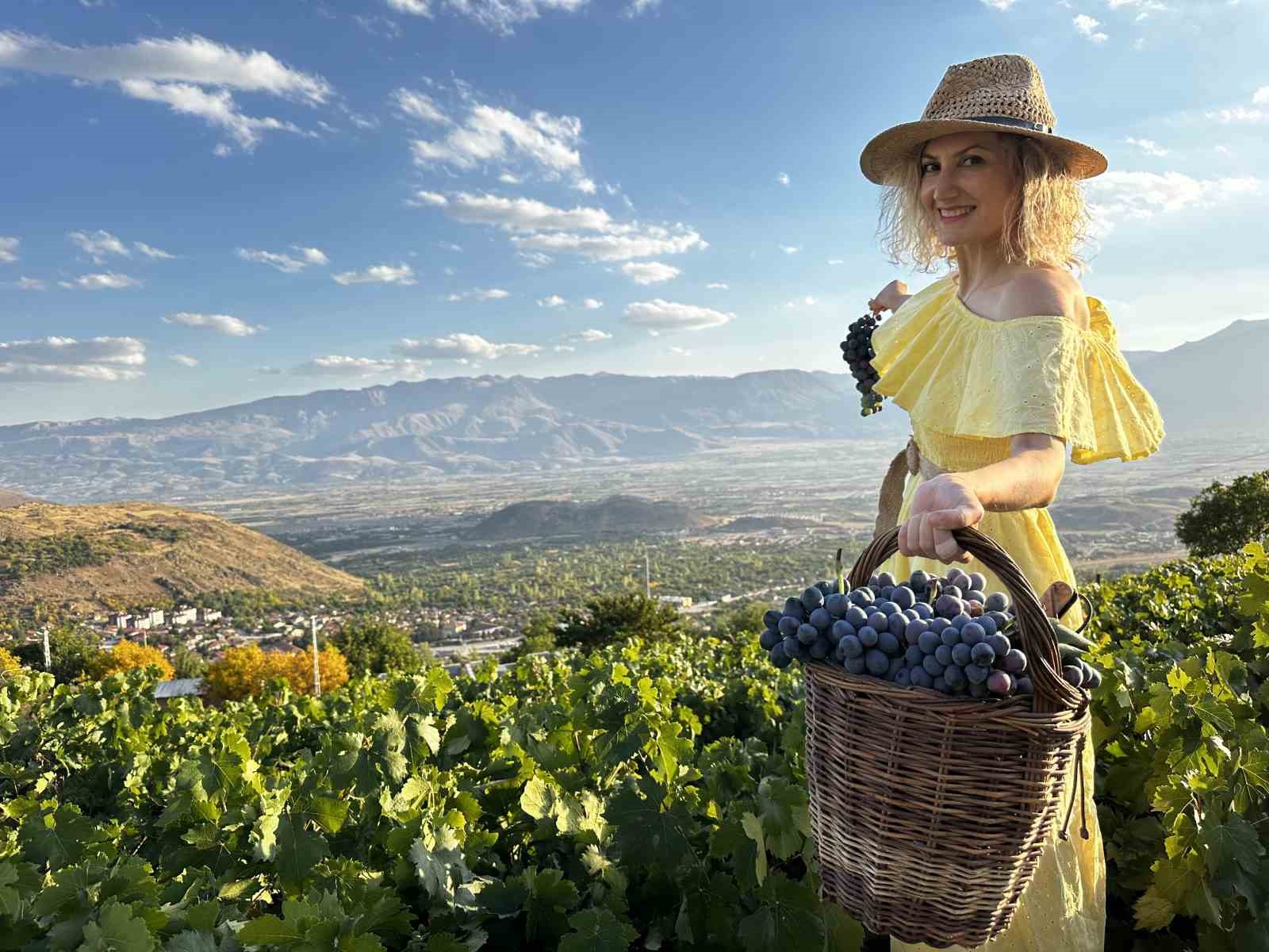 Erzincan Tulum Peyniri ve Cimin Üzümü dünya çapında tescillendi
