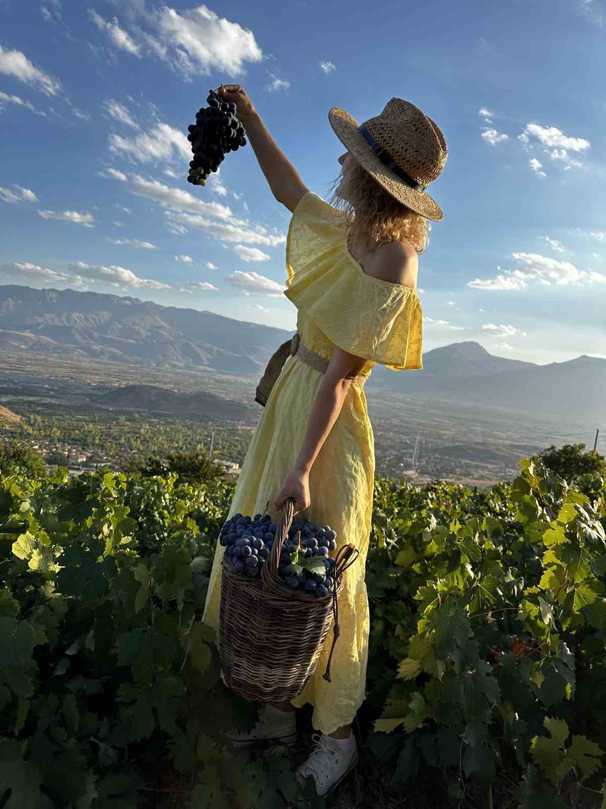 Erzincan Tulum Peyniri ve Cimin Üzümü dünya çapında tescillendi
