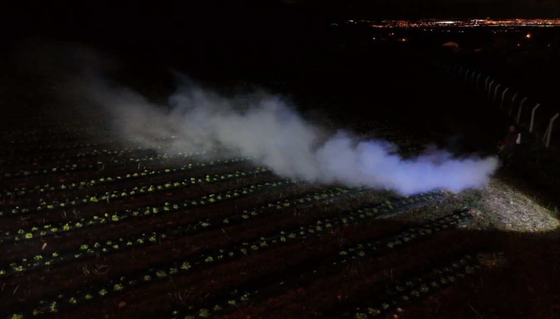 Erzincan’da 1450 rakımda don nöbeti: Üreticiler ürünlerini dumanla korudu
