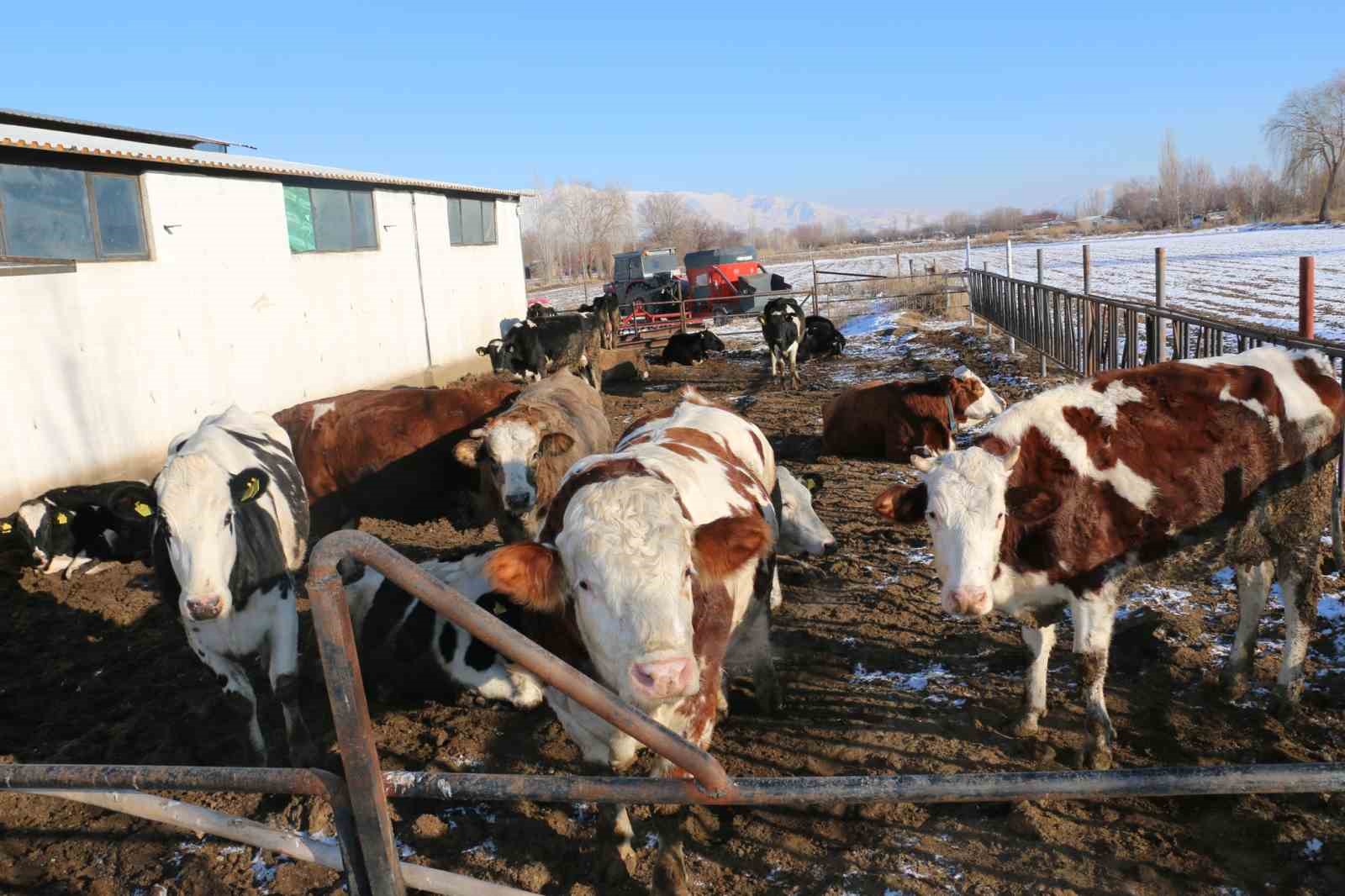 Erzincan’da aile hayvancılık işletmeleri ziyaret edildi
