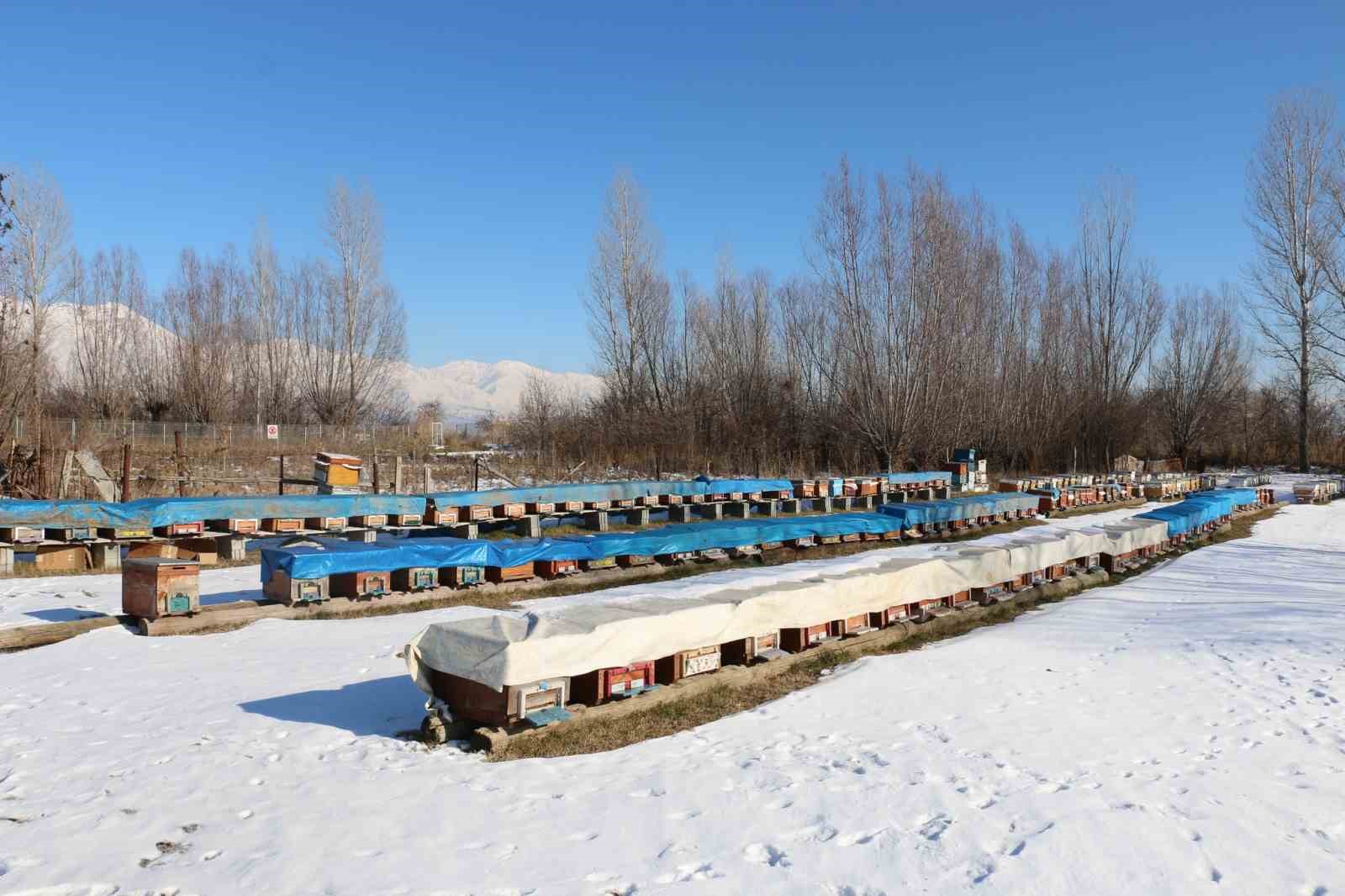 Erzincan’da arıcılığa destek sürüyor
