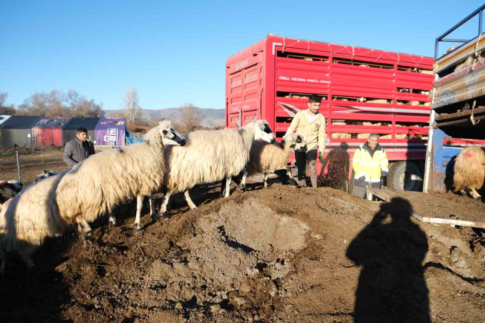 Erzincan’da besiciler 8 aylık göçe başladı

