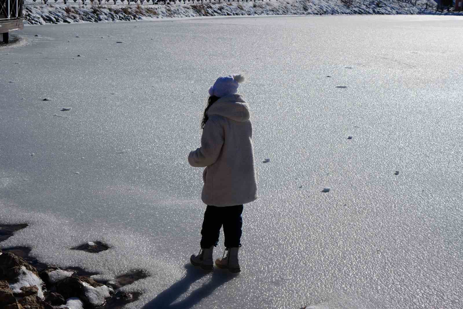 Erzincan’da kış sert yüzünü gösterdi: Doğa buzla kaplandı
