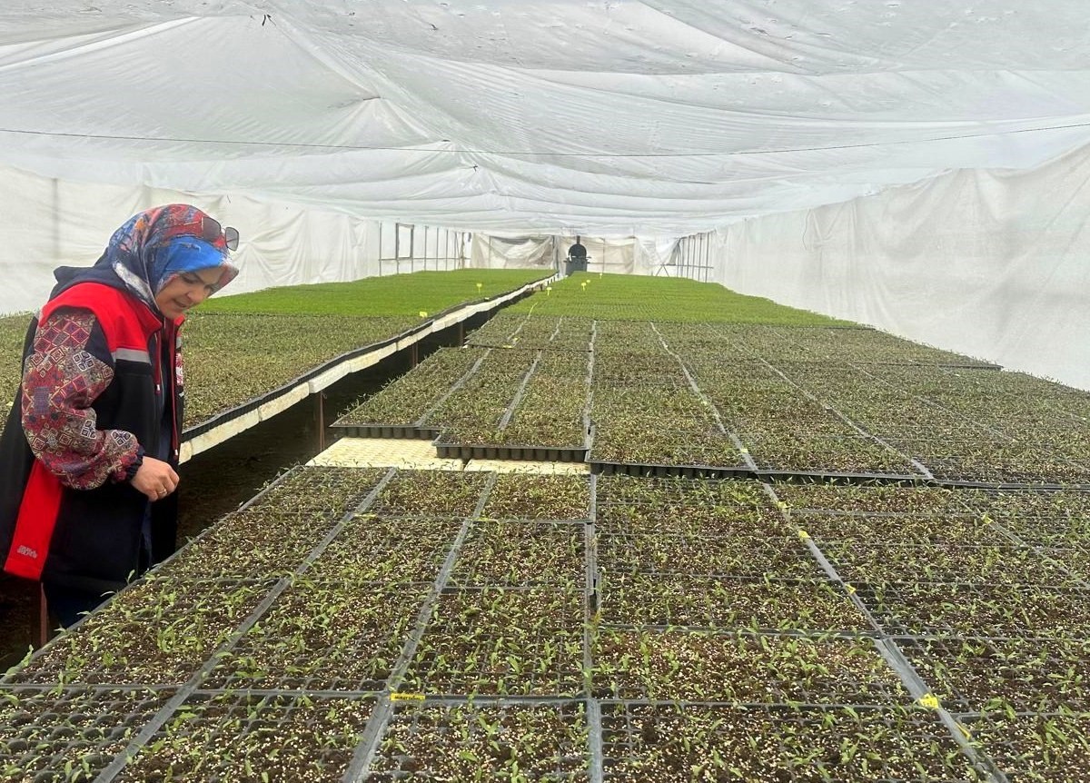 Erzincan’da seralarda fide denetimi sürüyor
