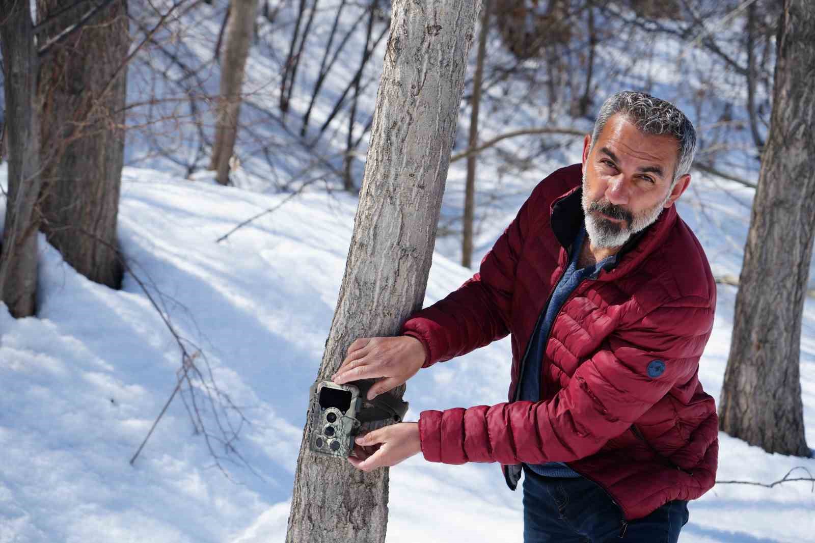 Erzincan’da vaşaktan kurda yaban hayatı kayıt altında
