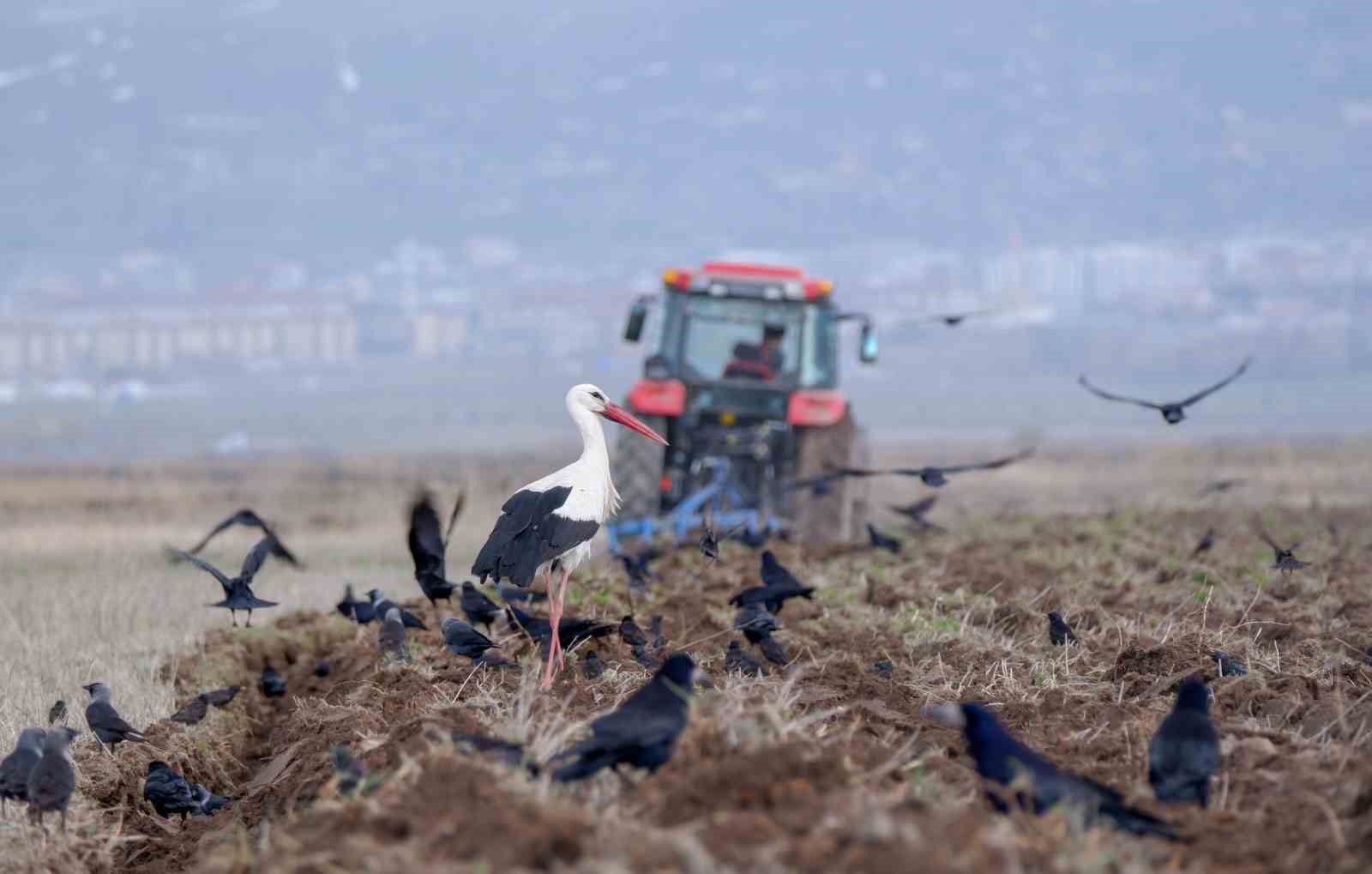 Erzincan’da zirai don uyarısı
