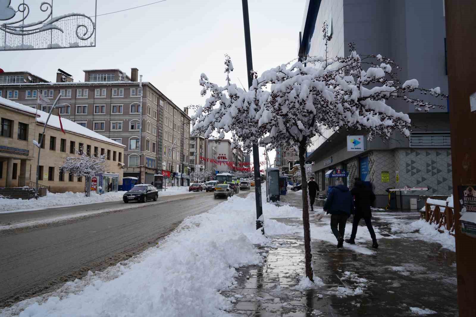 Erzurum yine beyaza büründü: 775 köy yolu ulaşıma kapandı
