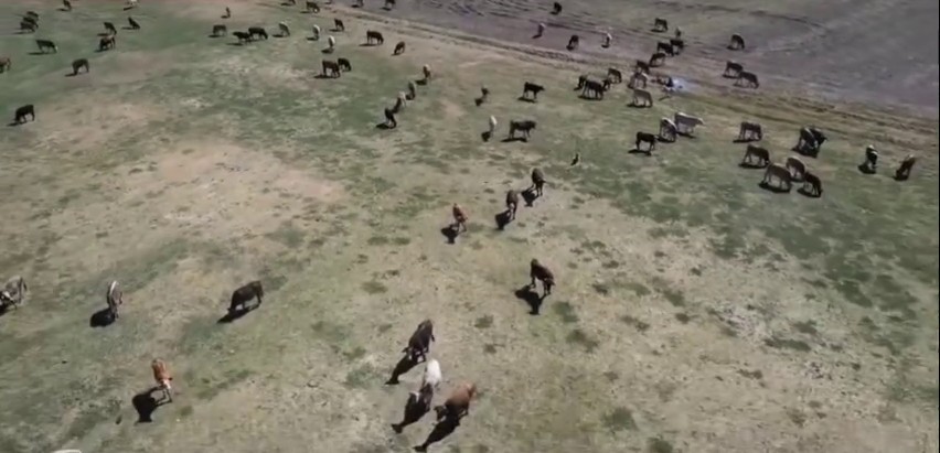 Erzurum’da 3,38 milyar destekle 5 bin 226 kişilik istihdam oluştu
Erzurum’da 3,38 milyar destekle 5 bin 226 kişilik istihdam oluştu