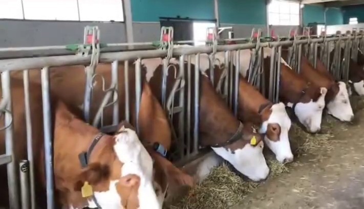 Erzurum’da 3,38 milyar destekle 5 bin 226 kişilik istihdam oluştu
Erzurum’da 3,38 milyar destekle 5 bin 226 kişilik istihdam oluştu