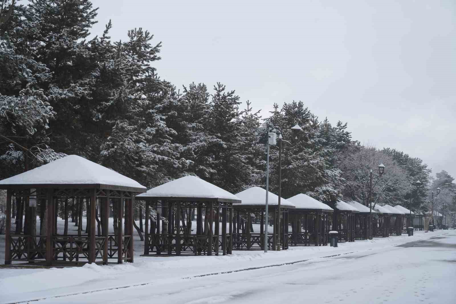 Erzurum’da kar yağışı etkili oluyor
