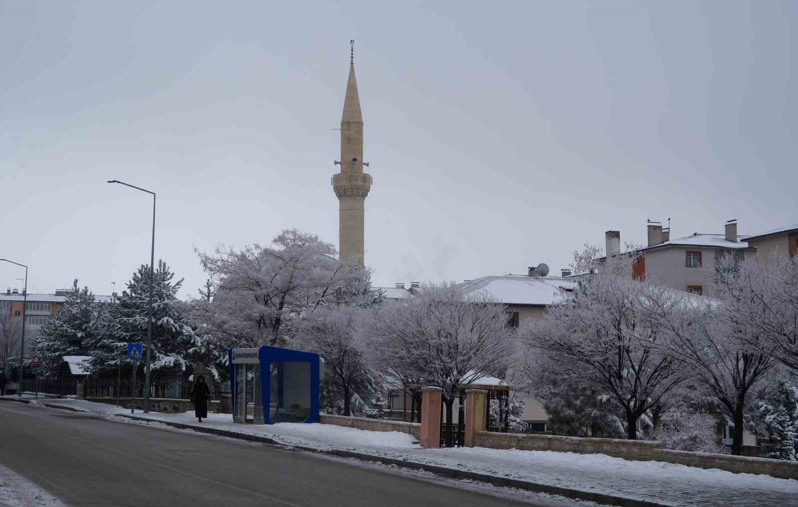 Erzurum’da soğuk havanın etkisiyle ağaçlar kırağı tuttu

