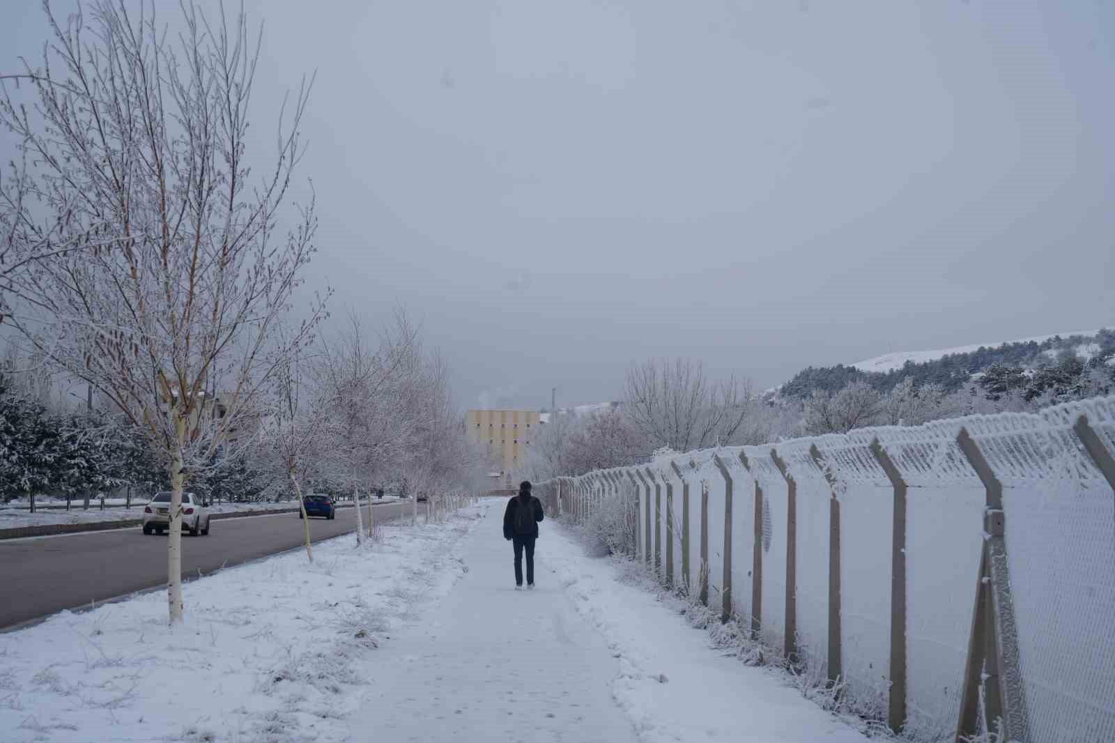 Erzurum’da soğuk havanın etkisiyle ağaçlar kırağı tuttu
