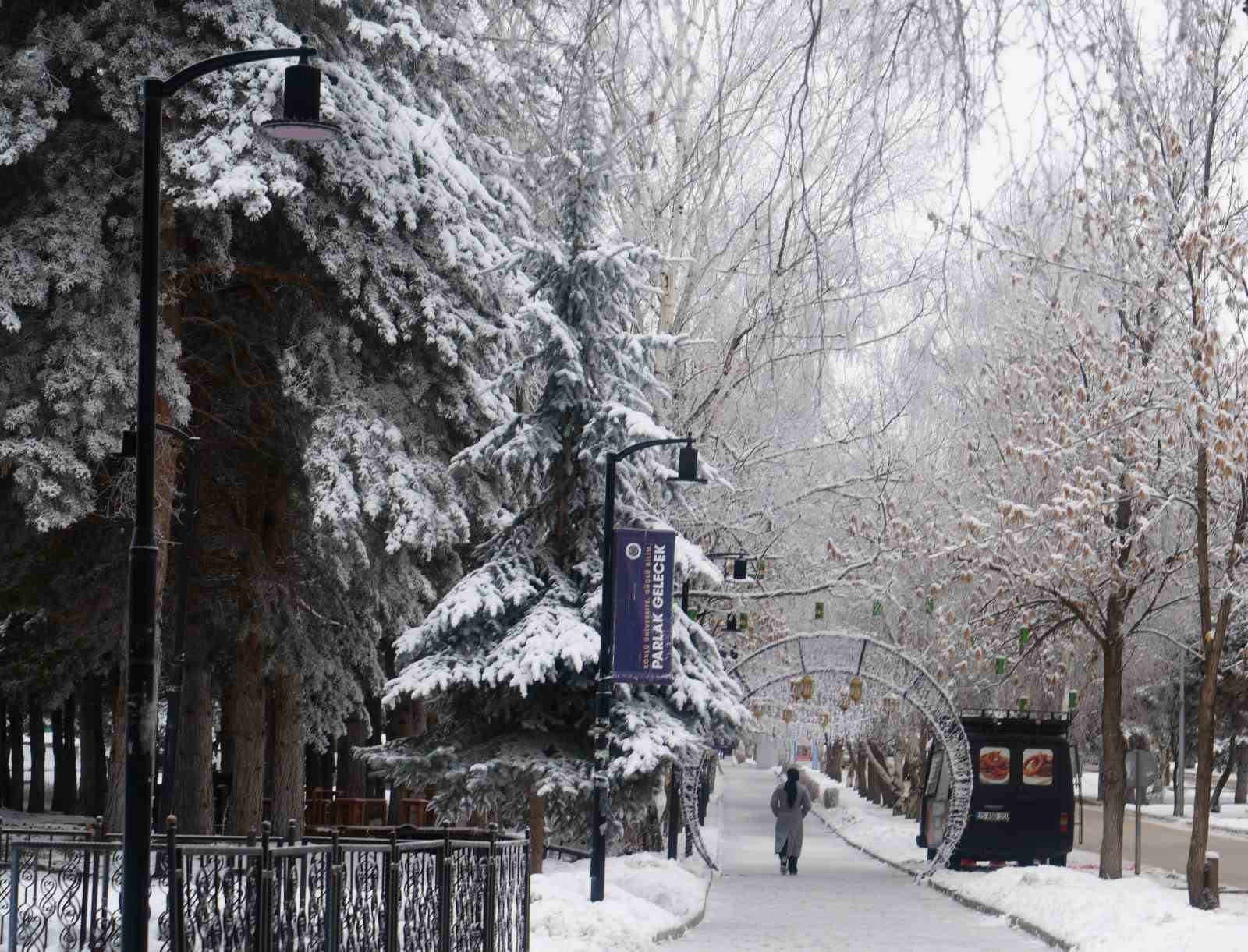 Erzurum’da soğuk havanın etkisiyle ağaçlar kırağı tuttu
