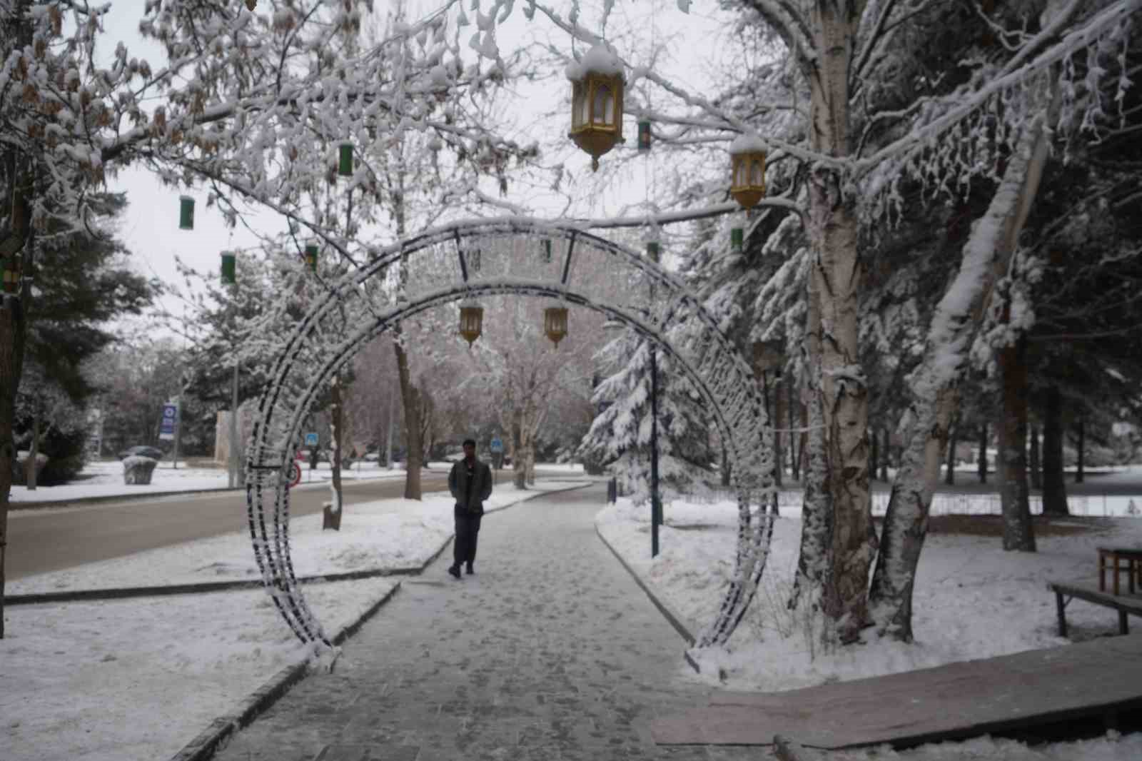 Erzurum’da soğuk havanın etkisiyle ağaçlar kırağı tuttu
