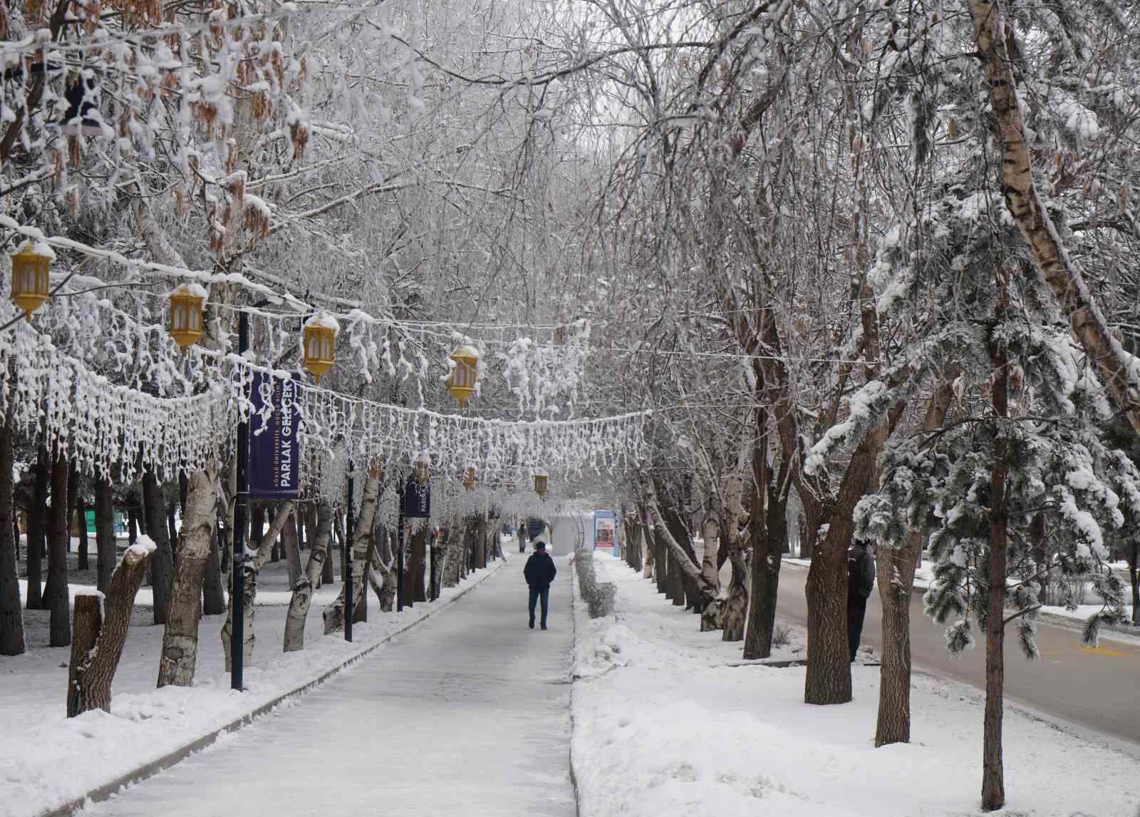 Erzurum’da soğuk havanın etkisiyle ağaçlar kırağı tuttu
