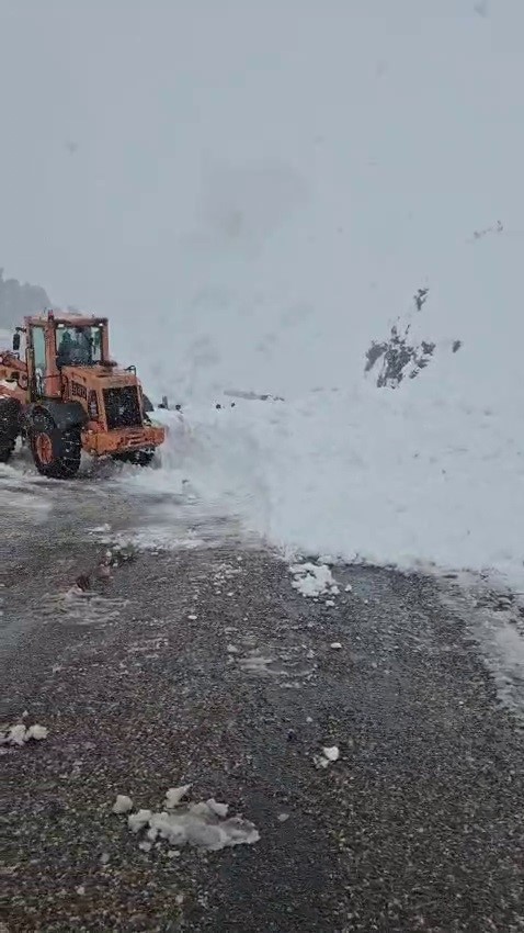 Erzurum’da yola çığ düştü
