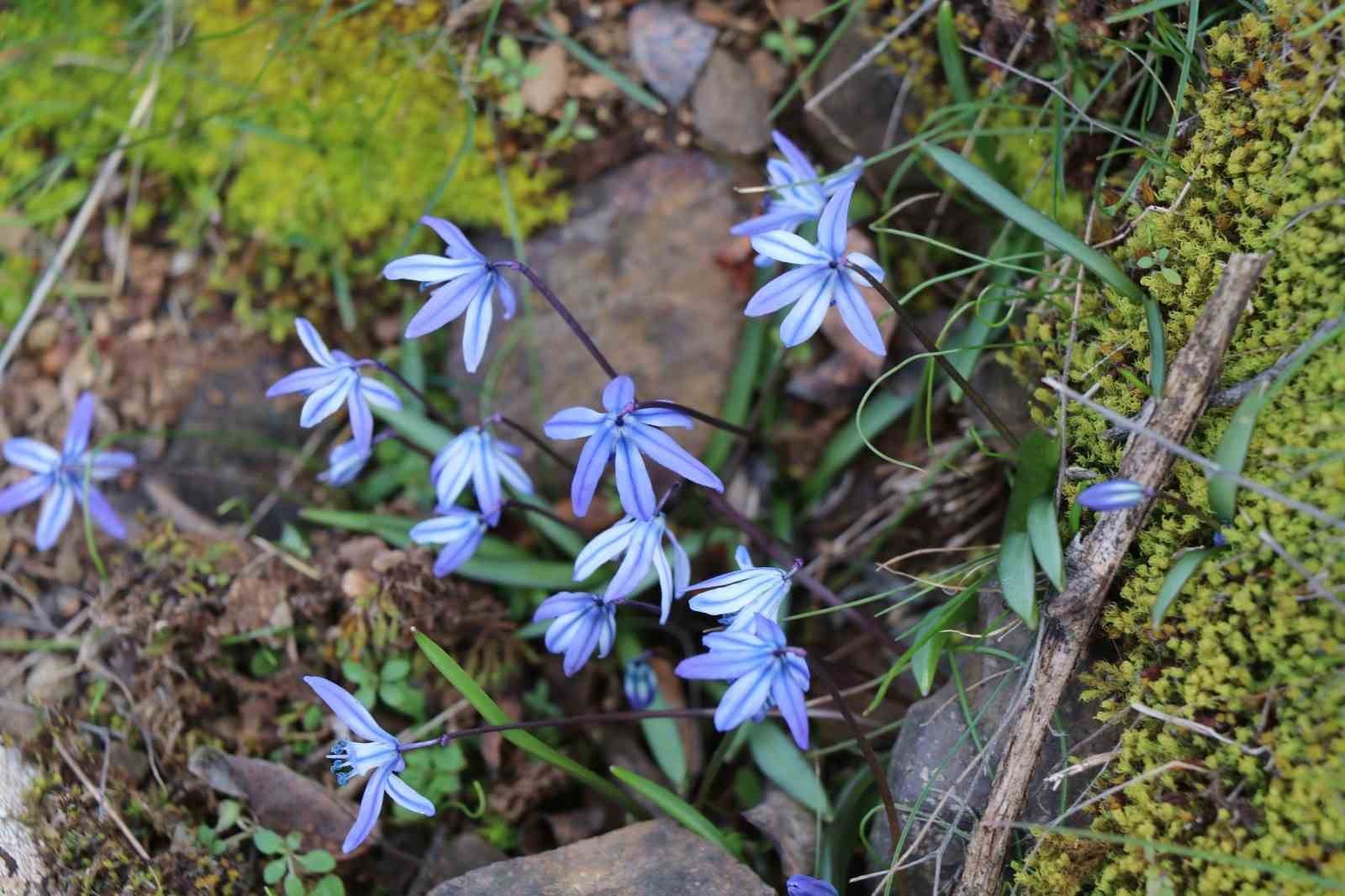 Erzurum’un bir yanı kış bir yanı bahar
