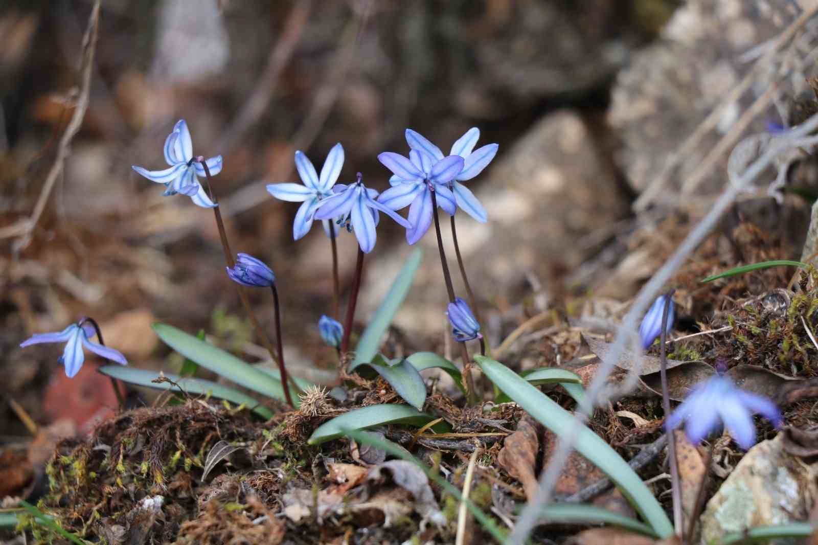 Erzurum’un bir yanı kış bir yanı bahar
