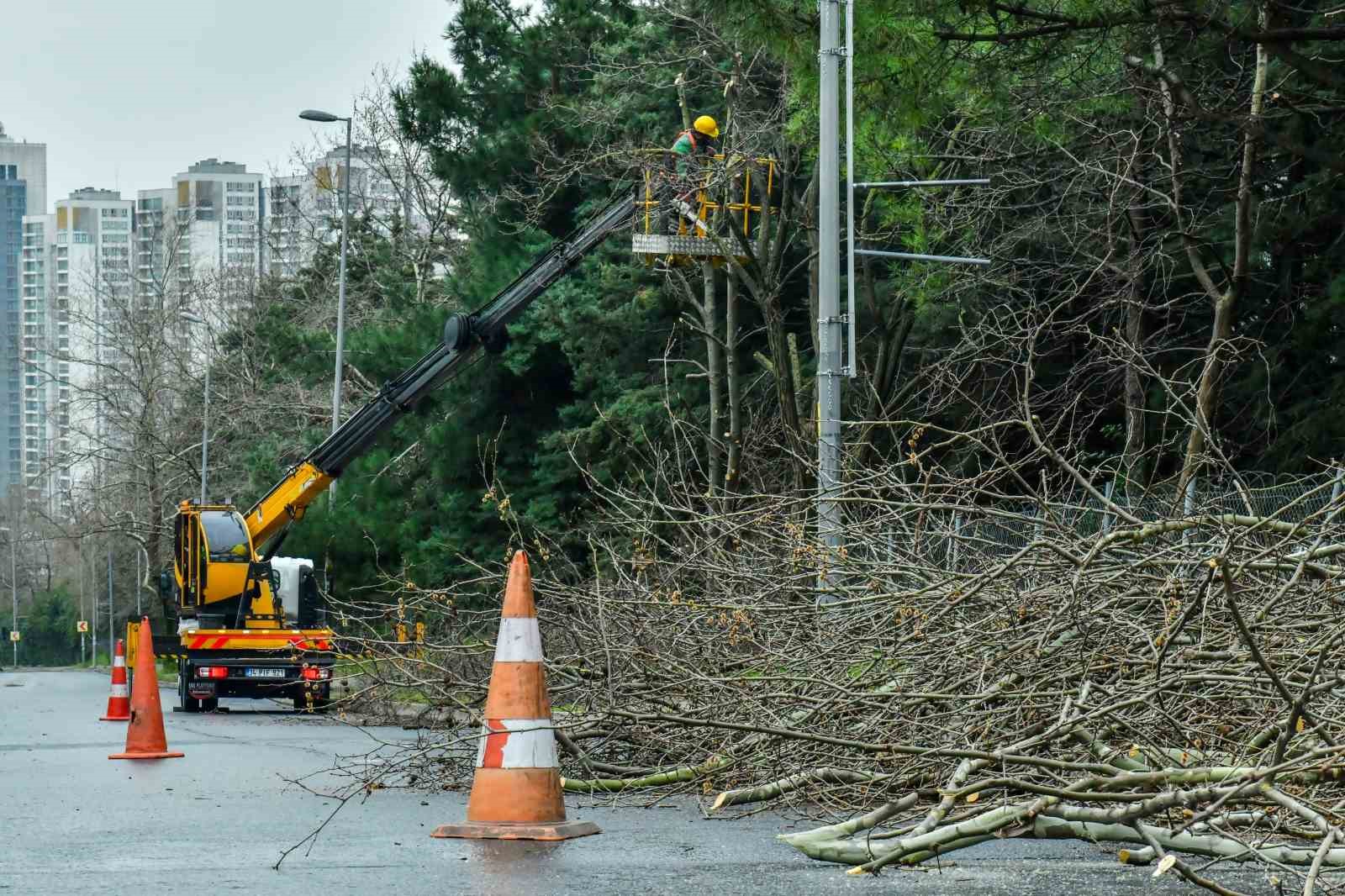Esenyurt’ta bahar hazırlıkları başladı: Ağaçlar budanıyor
