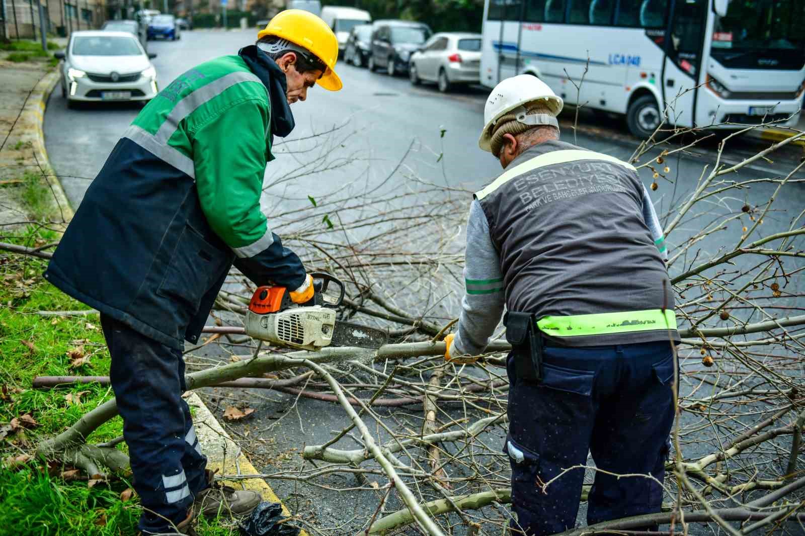 Esenyurt’ta bahar hazırlıkları başladı: Ağaçlar budanıyor
