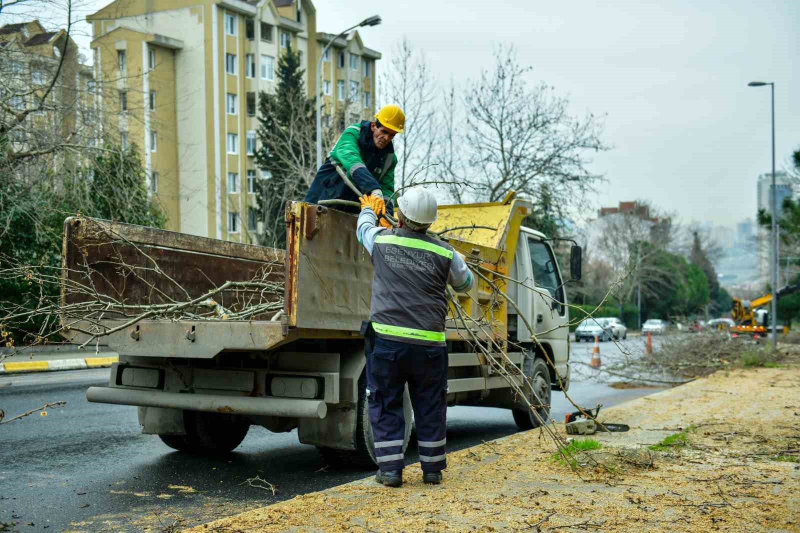 Esenyurt’ta bahar hazırlıkları başladı: Ağaçlar budanıyor
