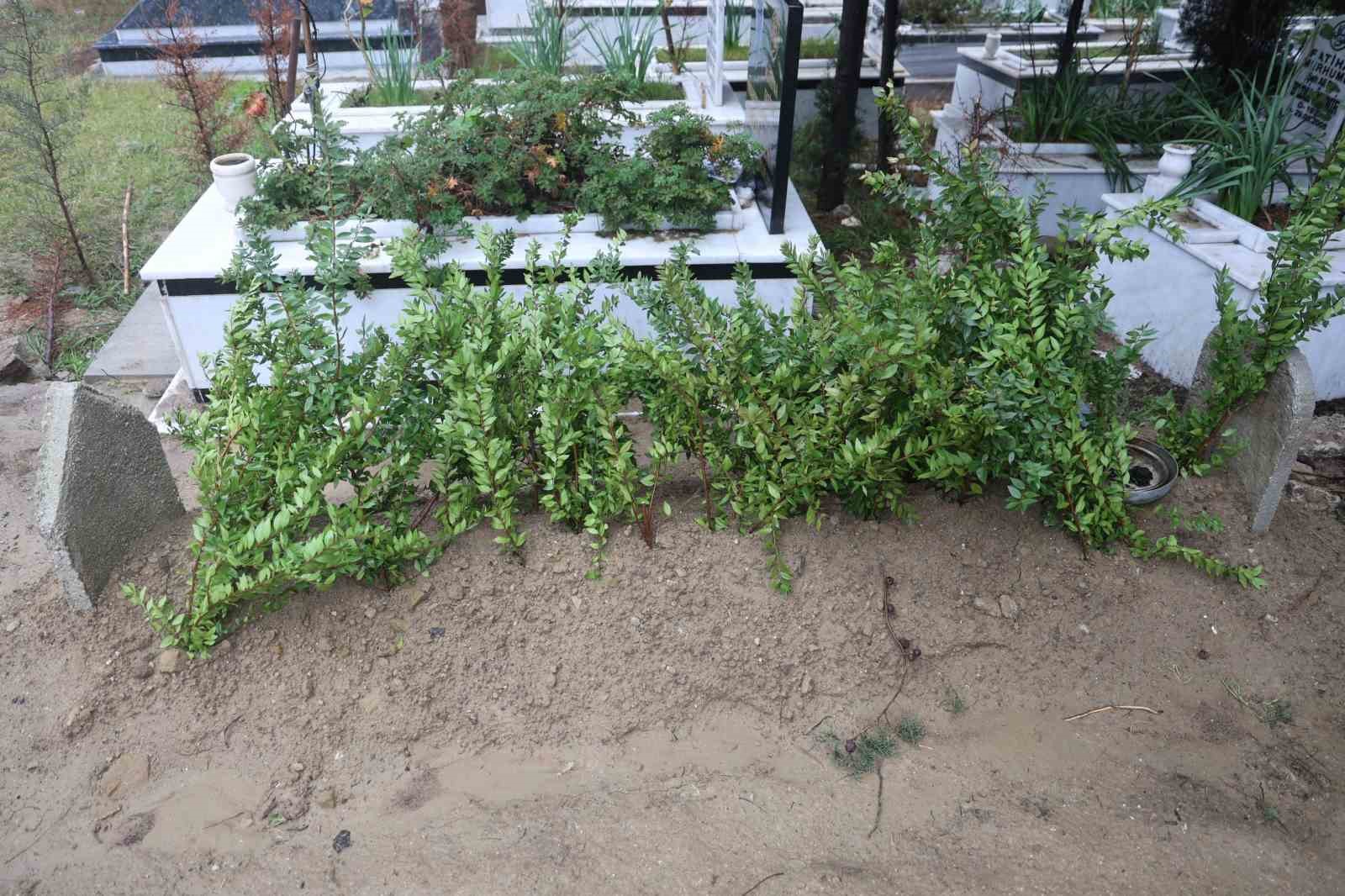 Eski belediye başkanını oğlu baltayla öldürdü
