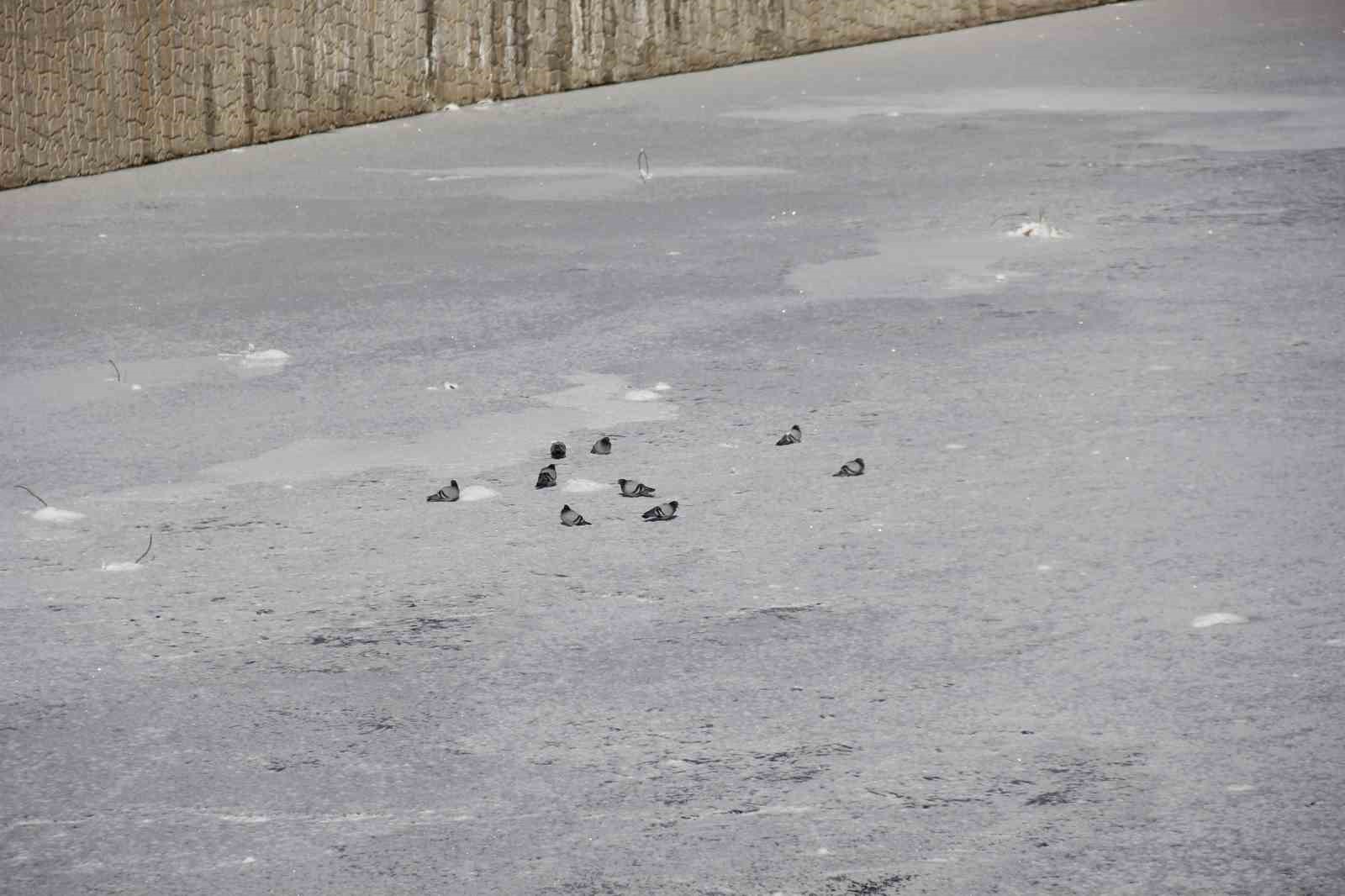 Eski kışlar geri geldi, Kızılırmak’ın yüzeyi kısmen dondu
