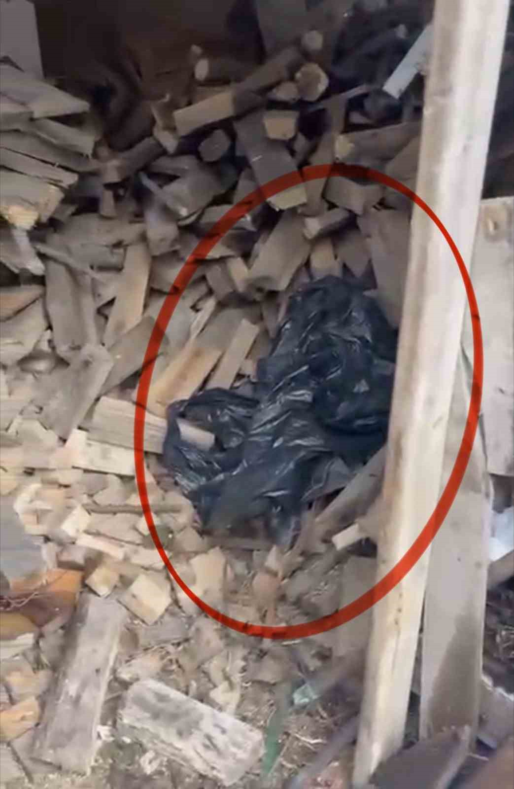 Eski kız arkadaşına uyuşturucu tuzağı kurdu, gerçeği polis ortaya çıkardı
