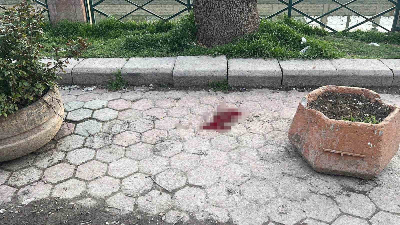 Eskişehir’de bıçaklı kavga: 1 yaralı
