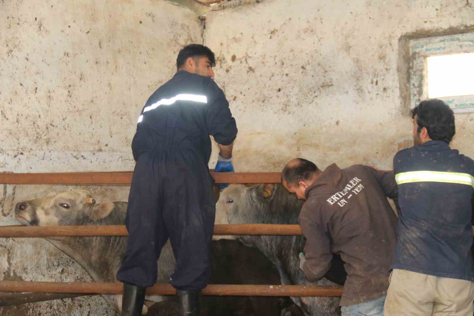 Eskişehir’de kurbanlıklar tükenmeye başladı
