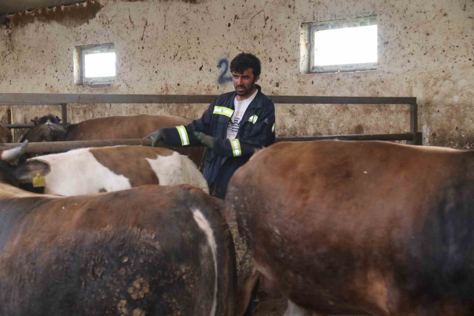 Eskişehir’de kurbanlıklar tükenmeye başladı
