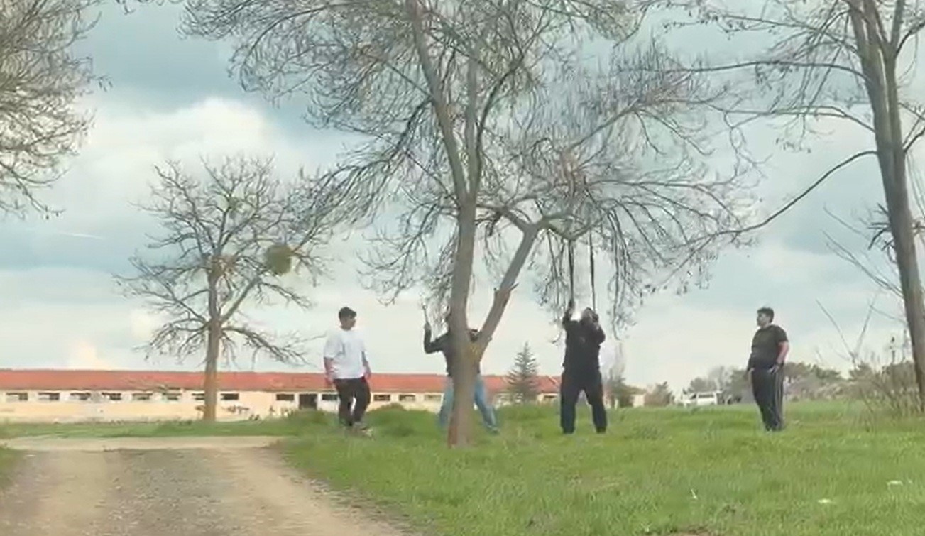 Eskişehir’de ‘mangal için ağaç dalını kırmaya çalıştılar’ iddiası
